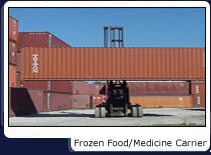 Frozen Food/Medicine Carrier